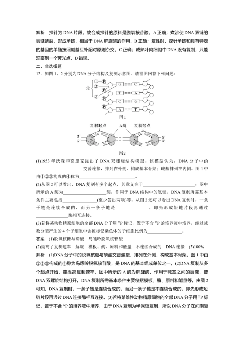 2023年高考生物一轮复习（新人教新高考）第6单元第3课时　DNA的复制_新高考复习资料_2023年新高考复习资料_一轮复习_2023年新高考大一轮复习讲义