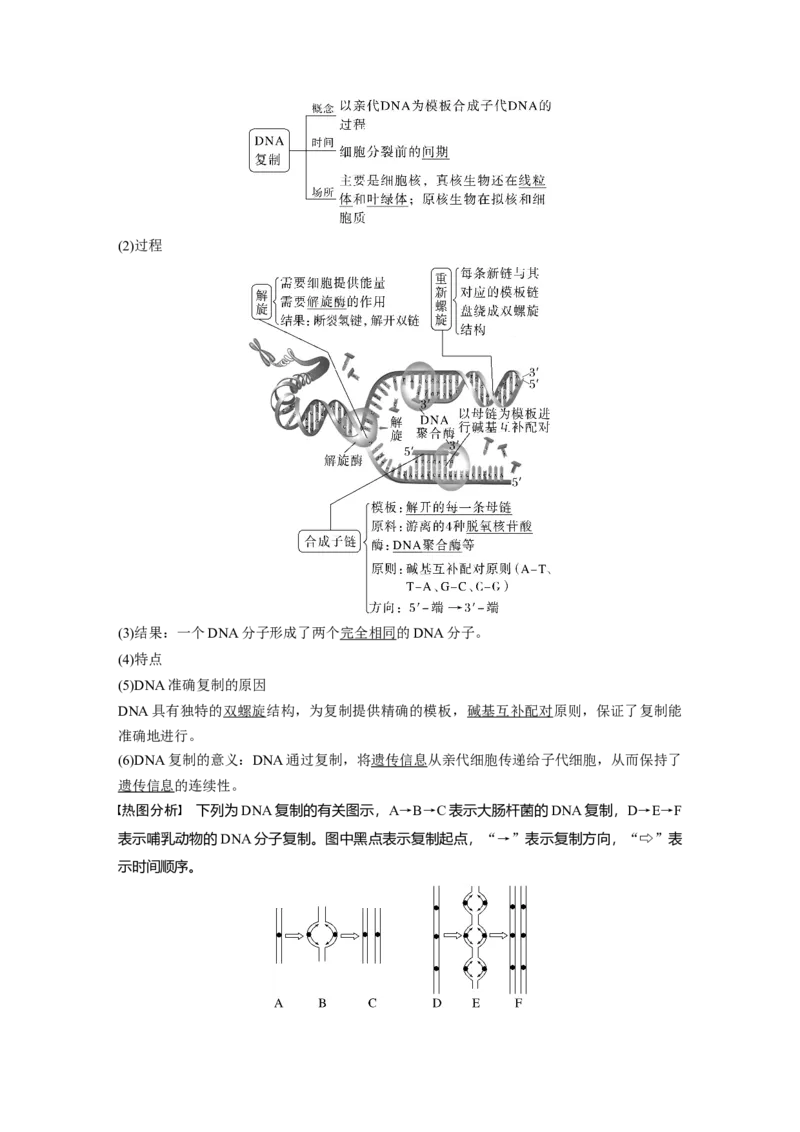 2023年高考生物一轮复习（新人教新高考）第6单元第3课时　DNA的复制_新高考复习资料_2023年新高考复习资料_一轮复习_2023年新高考大一轮复习讲义