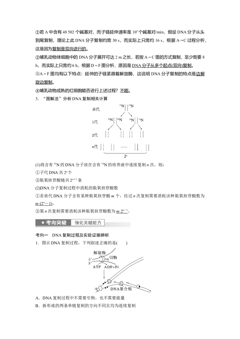 2023年高考生物一轮复习（新人教新高考）第6单元第3课时　DNA的复制_新高考复习资料_2023年新高考复习资料_一轮复习_2023年新高考大一轮复习讲义
