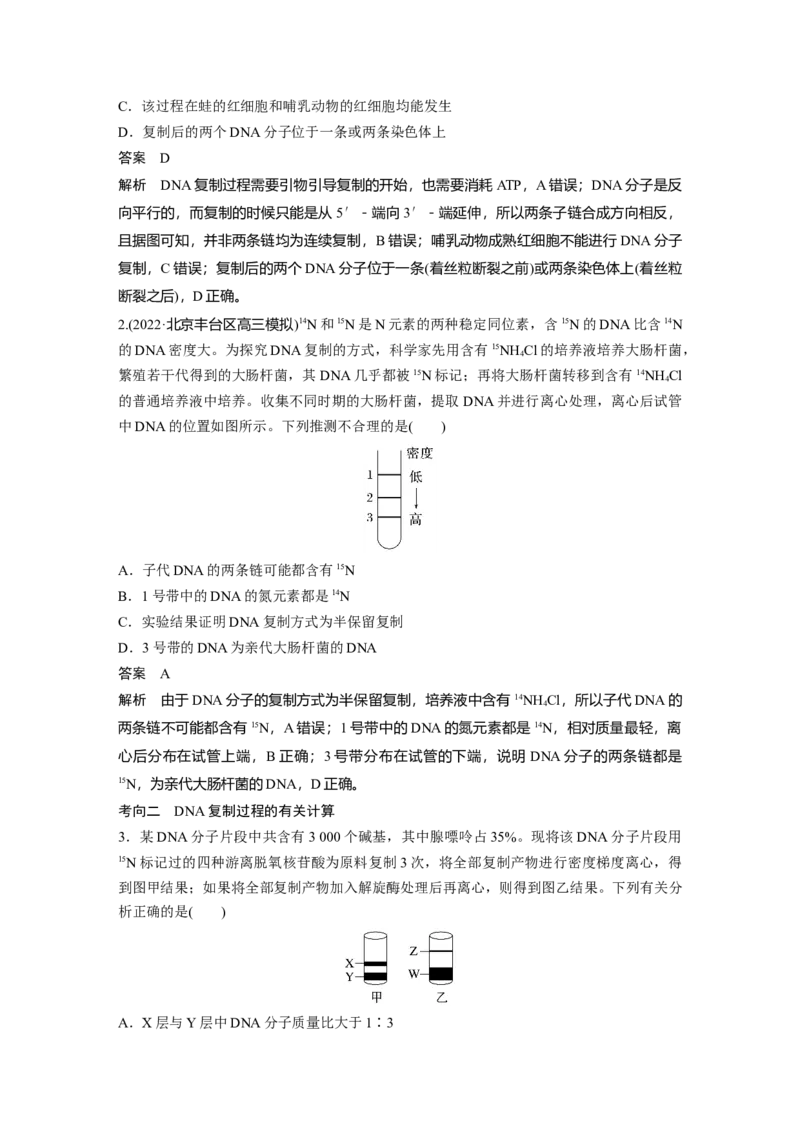 2023年高考生物一轮复习（新人教新高考）第6单元第3课时　DNA的复制_新高考复习资料_2023年新高考复习资料_一轮复习_2023年新高考大一轮复习讲义