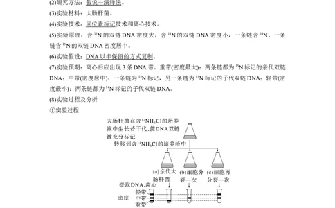 2023年高考生物一轮复习（新人教新高考）第6单元第3课时　DNA的复制_新高考复习资料_2023年新高考复习资料_一轮复习_2023年新高考大一轮复习讲义