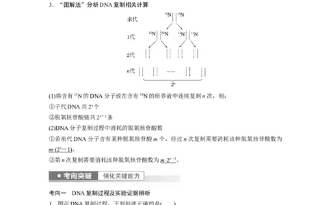 2023年高考生物一轮复习（新人教新高考）第6单元第3课时　DNA的复制_新高考复习资料_2023年新高考复习资料_一轮复习_2023年新高考大一轮复习讲义