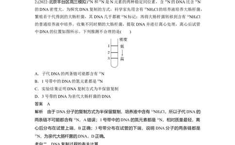 2023年高考生物一轮复习（新人教新高考）第6单元第3课时　DNA的复制_新高考复习资料_2023年新高考复习资料_一轮复习_2023年新高考大一轮复习讲义