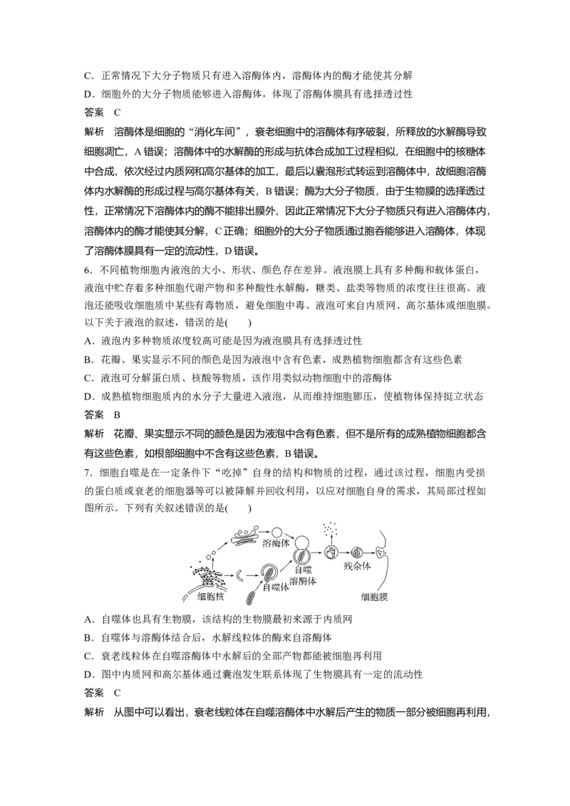 2023年高考生物一轮复习（全国版）第2单元第2课时　细胞器之间的分工_通用版（老高考）复习资料_2023年复习资料_一轮复习_2023年高考生物一轮复习讲义+课件（全国版）