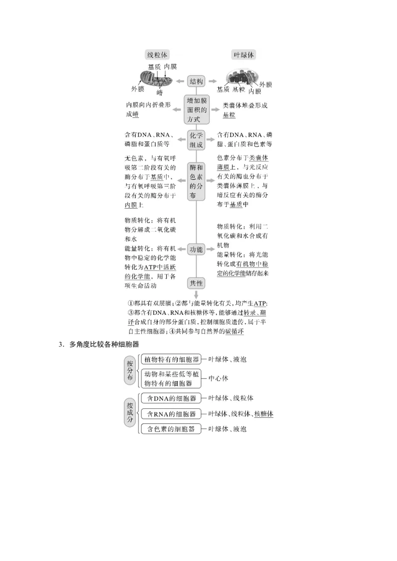 2023年高考生物一轮复习（全国版）第2单元第2课时　细胞器之间的分工_通用版（老高考）复习资料_2023年复习资料_一轮复习_2023年高考生物一轮复习讲义+课件（全国版）