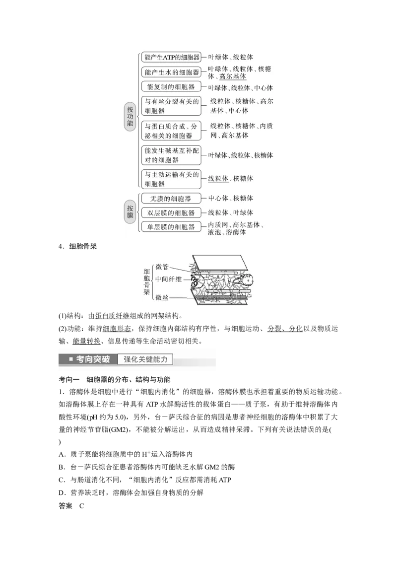 2023年高考生物一轮复习（全国版）第2单元第2课时　细胞器之间的分工_通用版（老高考）复习资料_2023年复习资料_一轮复习_2023年高考生物一轮复习讲义+课件（全国版）