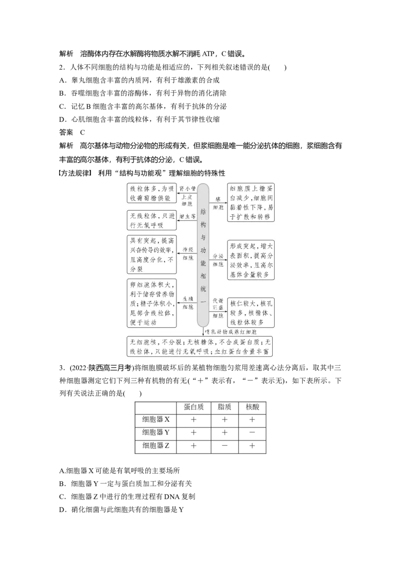 2023年高考生物一轮复习（全国版）第2单元第2课时　细胞器之间的分工_通用版（老高考）复习资料_2023年复习资料_一轮复习_2023年高考生物一轮复习讲义+课件（全国版）