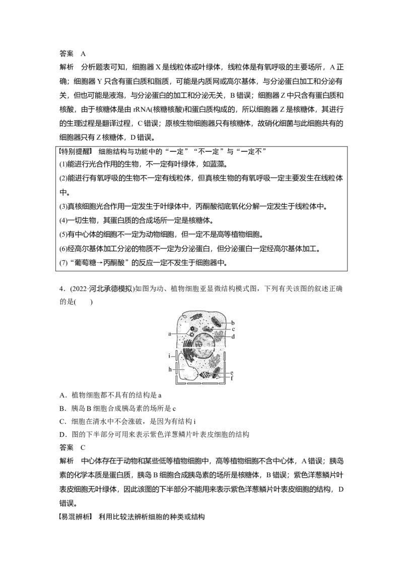 2023年高考生物一轮复习（全国版）第2单元第2课时　细胞器之间的分工_通用版（老高考）复习资料_2023年复习资料_一轮复习_2023年高考生物一轮复习讲义+课件（全国版）
