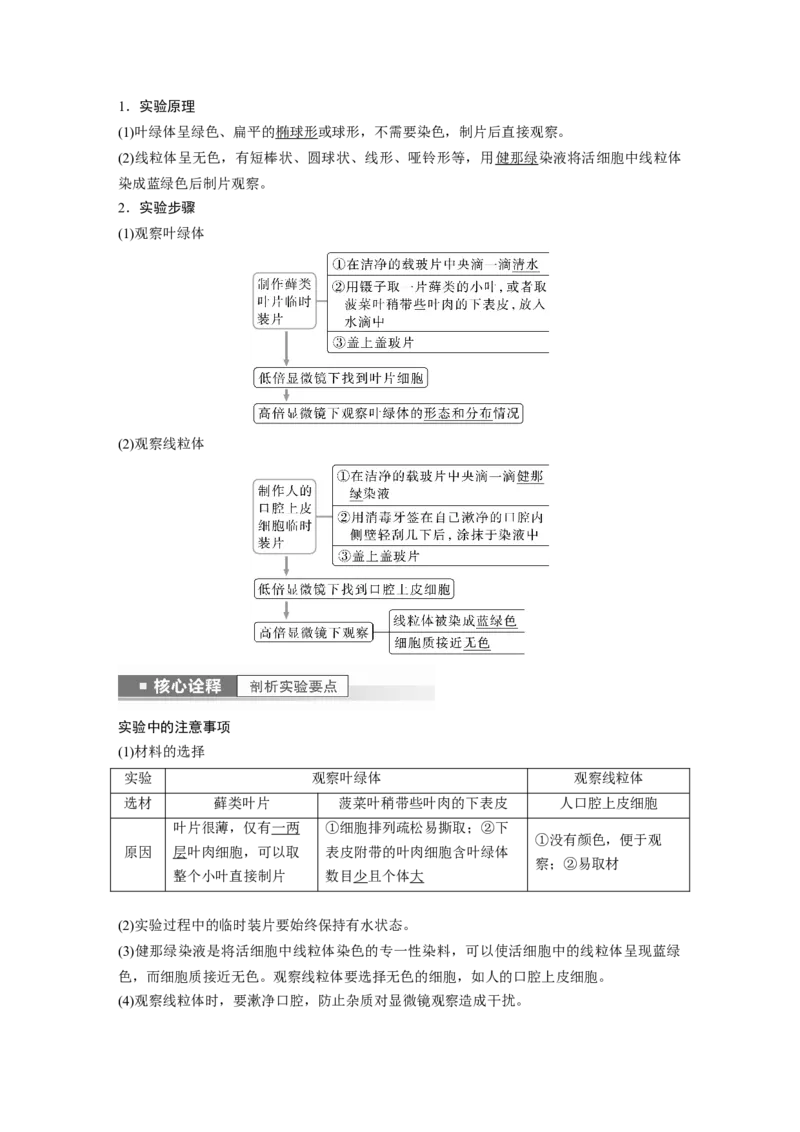 2023年高考生物一轮复习（全国版）第2单元第2课时　细胞器之间的分工_通用版（老高考）复习资料_2023年复习资料_一轮复习_2023年高考生物一轮复习讲义+课件（全国版）