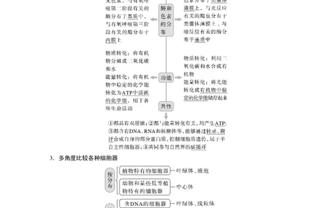 2023年高考生物一轮复习（全国版）第2单元第2课时　细胞器之间的分工_通用版（老高考）复习资料_2023年复习资料_一轮复习_2023年高考生物一轮复习讲义+课件（全国版）