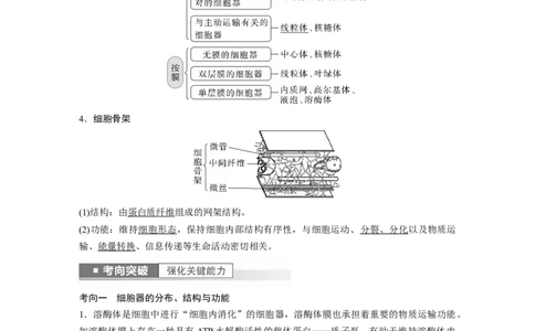 2023年高考生物一轮复习（全国版）第2单元第2课时　细胞器之间的分工_通用版（老高考）复习资料_2023年复习资料_一轮复习_2023年高考生物一轮复习讲义+课件（全国版）