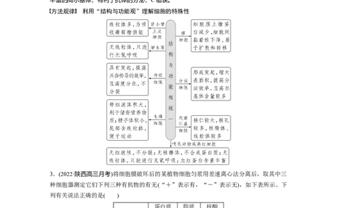 2023年高考生物一轮复习（全国版）第2单元第2课时　细胞器之间的分工_通用版（老高考）复习资料_2023年复习资料_一轮复习_2023年高考生物一轮复习讲义+课件（全国版）