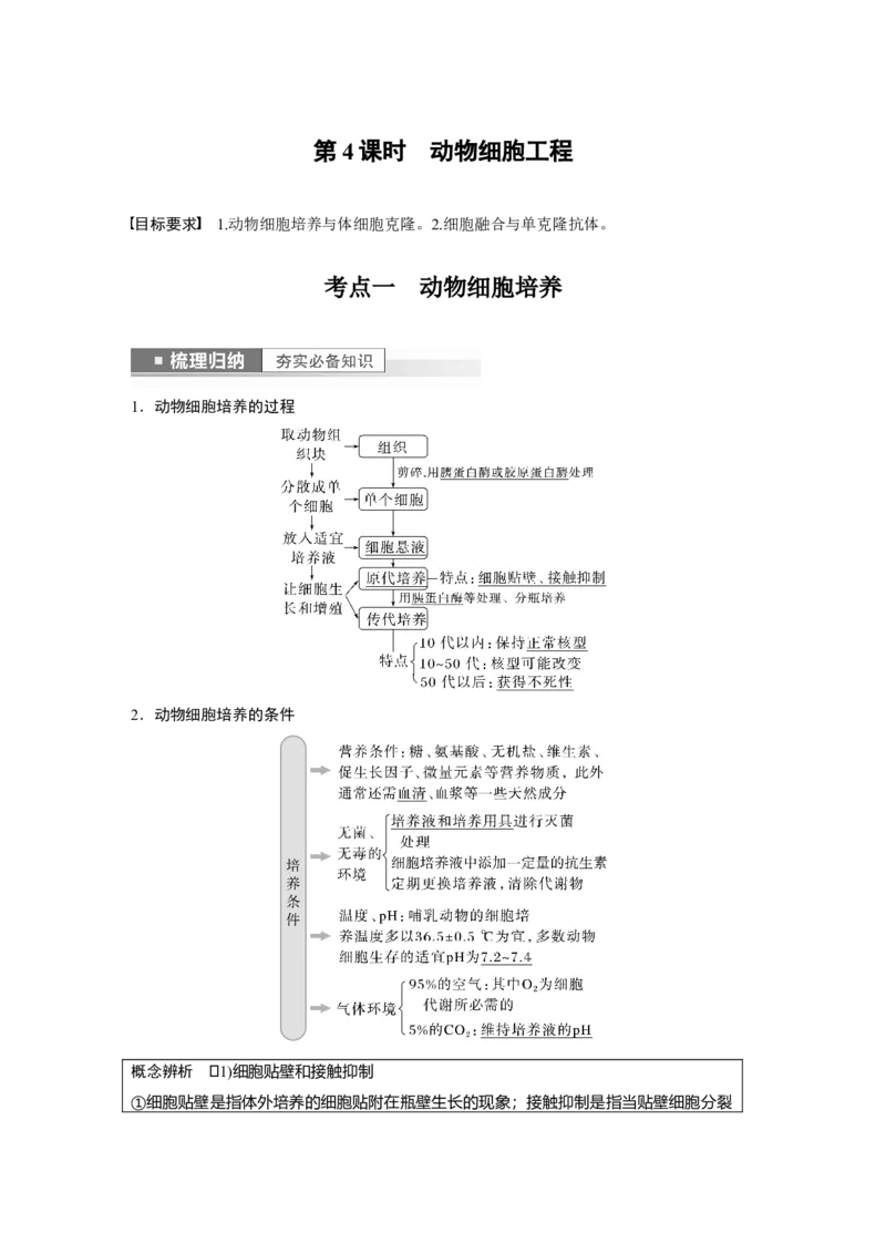 2023年高考生物一轮复习（全国版）第10单元第4课时　动物细胞工程_通用版（老高考）复习资料_2023年复习资料_一轮复习_2023年高考生物一轮复习讲义+课件（全国版）