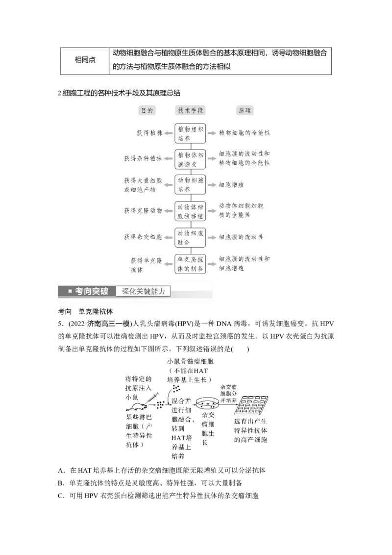 2023年高考生物一轮复习（全国版）第10单元第4课时　动物细胞工程_通用版（老高考）复习资料_2023年复习资料_一轮复习_2023年高考生物一轮复习讲义+课件（全国版）