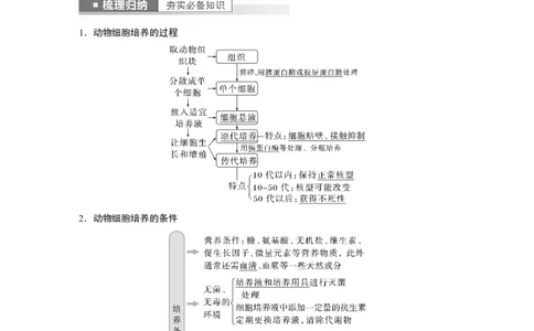 2023年高考生物一轮复习（全国版）第10单元第4课时　动物细胞工程_通用版（老高考）复习资料_2023年复习资料_一轮复习_2023年高考生物一轮复习讲义+课件（全国版）
