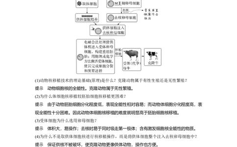 2023年高考生物一轮复习（全国版）第10单元第4课时　动物细胞工程_通用版（老高考）复习资料_2023年复习资料_一轮复习_2023年高考生物一轮复习讲义+课件（全国版）