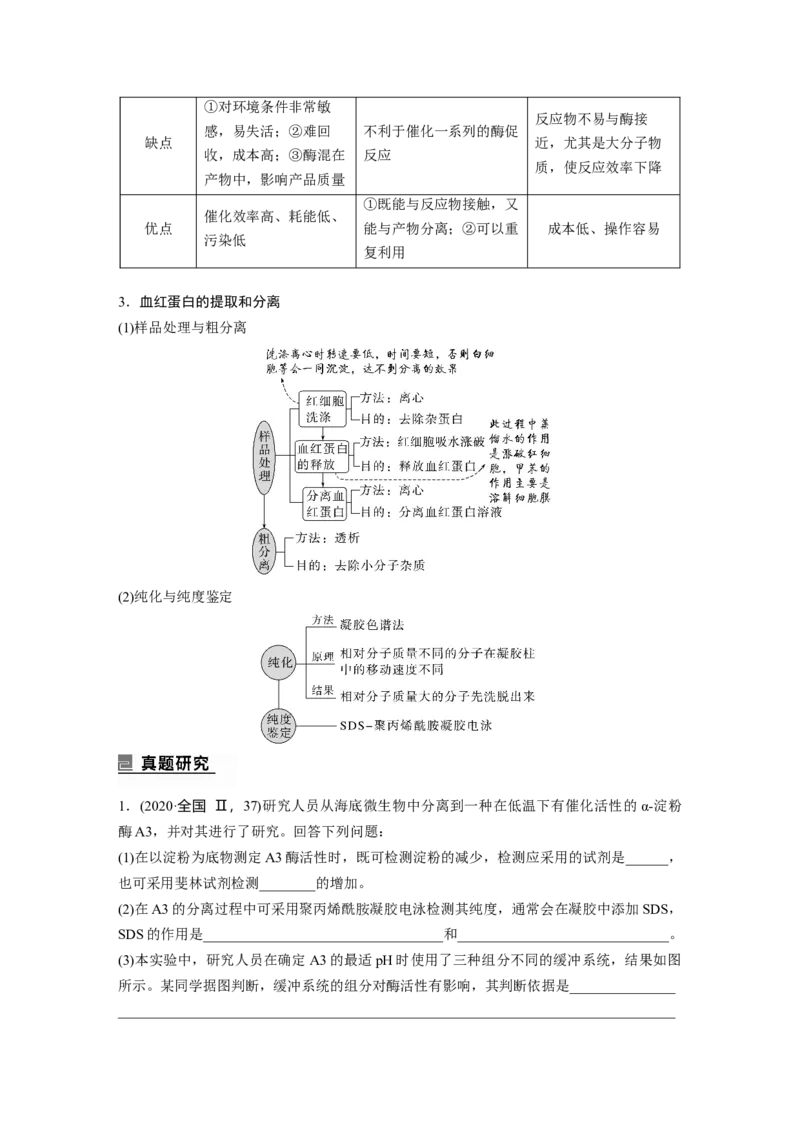 2023年高考生物二轮复习（全国版）第1篇专题突破专题10考点2　酶的应用及蛋白质的提取与分离_通用版（老高考）复习资料_2023年复习资料_二轮复习