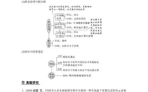 2023年高考生物二轮复习（全国版）第1篇专题突破专题10考点2　酶的应用及蛋白质的提取与分离_通用版（老高考）复习资料_2023年复习资料_二轮复习