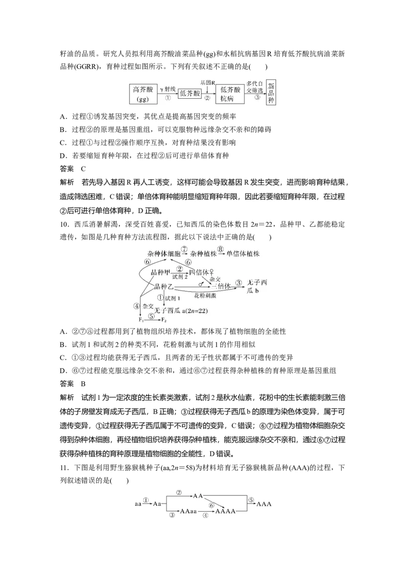 2023年高考生物一轮复习（全国版）第7单元第3课时　生物变异在育种上的应用_通用版（老高考）复习资料_2023年复习资料_一轮复习_2023年高考生物一轮复习讲义+课件（全国版）