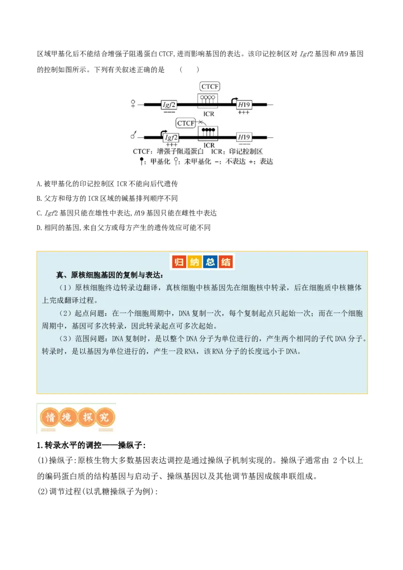 第09讲遗传的分子基础（讲义）-原卷版_2024年新高考资料_2.2024二轮复习_2024年高考生物二轮复习讲练测（新教材新高考）