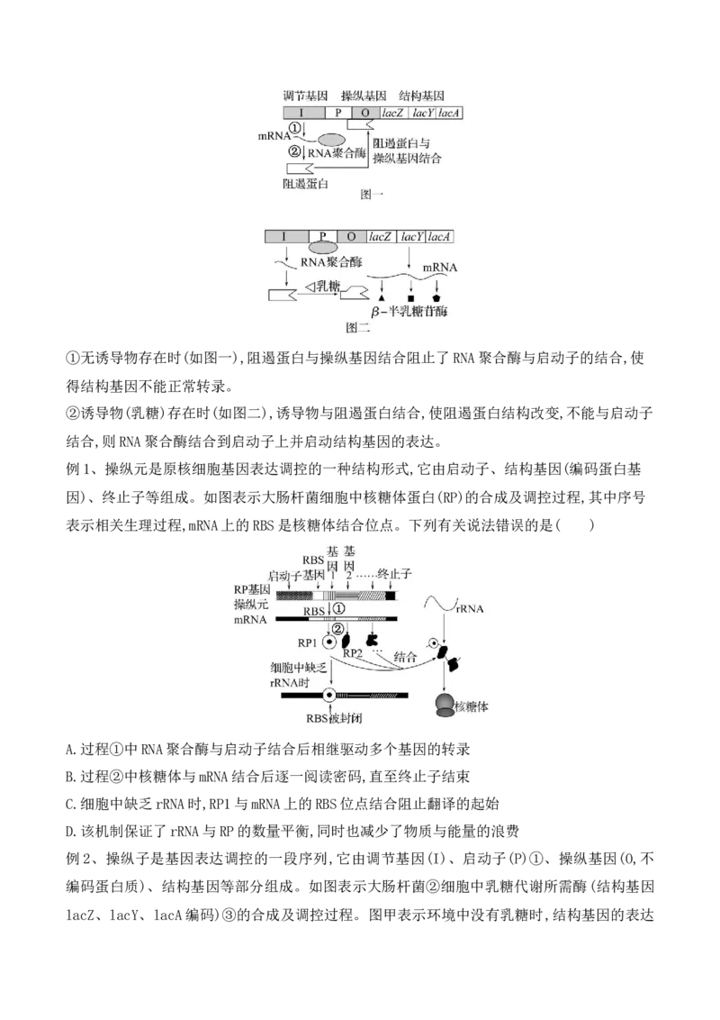 第09讲遗传的分子基础（讲义）-原卷版_2024年新高考资料_2.2024二轮复习_2024年高考生物二轮复习讲练测（新教材新高考）