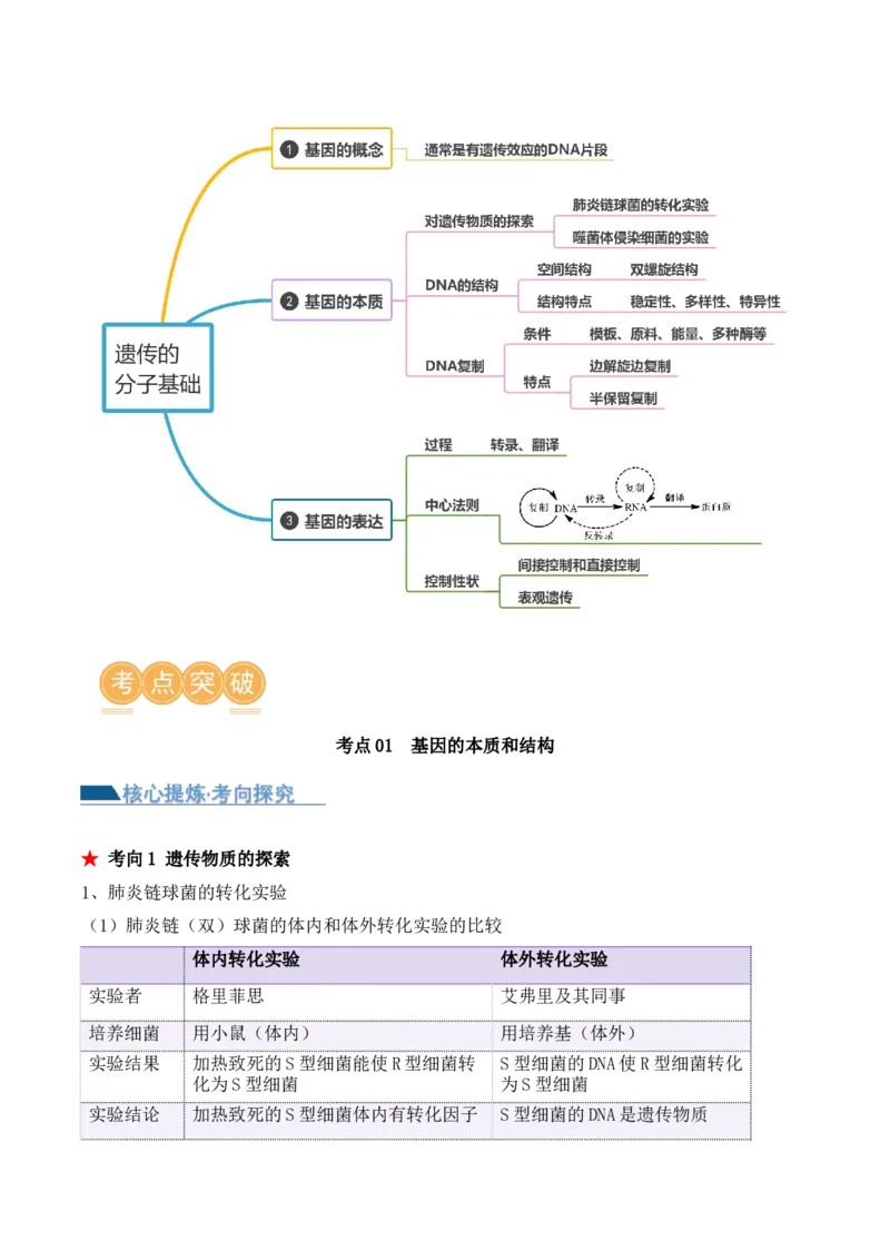 第09讲遗传的分子基础（讲义）-原卷版_2024年新高考资料_2.2024二轮复习_2024年高考生物二轮复习讲练测（新教材新高考）
