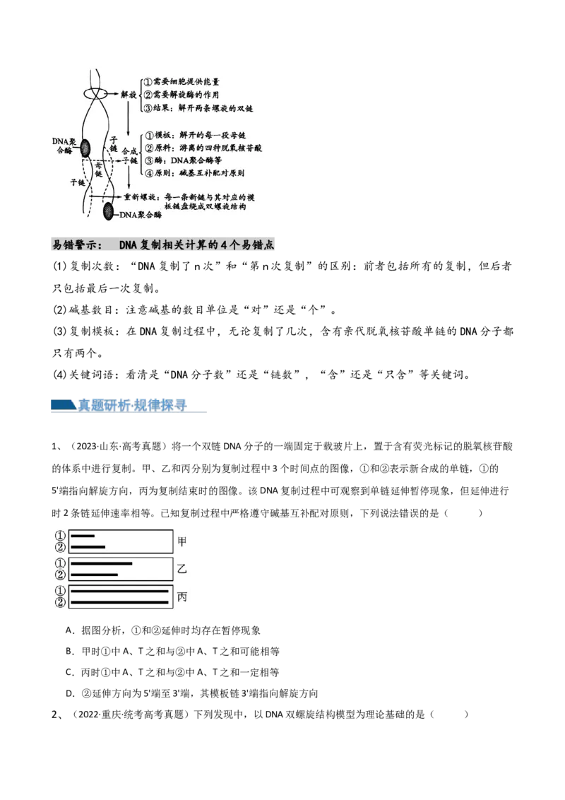 第09讲遗传的分子基础（讲义）-原卷版_2024年新高考资料_2.2024二轮复习_2024年高考生物二轮复习讲练测（新教材新高考）