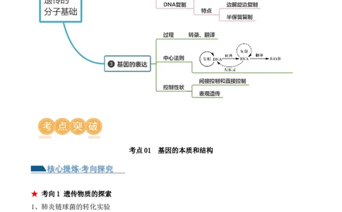 第09讲遗传的分子基础（讲义）-原卷版_2024年新高考资料_2.2024二轮复习_2024年高考生物二轮复习讲练测（新教材新高考）