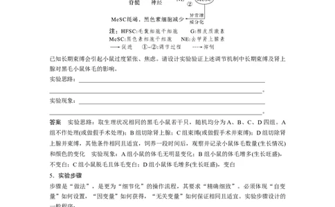 2023年高考生物一轮复习（新人教新高考）第3单元微专题一　实验技能专题_新高考复习资料_2023年新高考复习资料_一轮复习_2023年新高考大一轮复习讲义