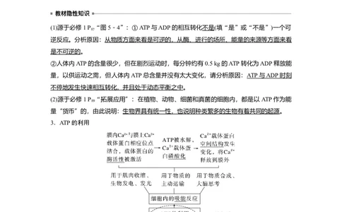 2023年高考生物一轮复习（新人教新高考）第3单元第2课时　细胞的能量&ldquo;货币&rdquo;ATP_新高考复习资料_2023年新高考复习资料_一轮复习_2023年新高考大一轮复习讲义