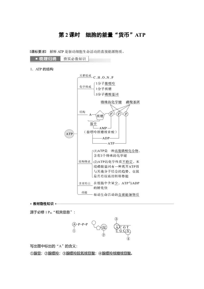 2023年高考生物一轮复习（新人教新高考）第3单元第2课时　细胞的能量&ldquo;货币&rdquo;ATP_新高考复习资料_2023年新高考复习资料_一轮复习_2023年新高考大一轮复习讲义