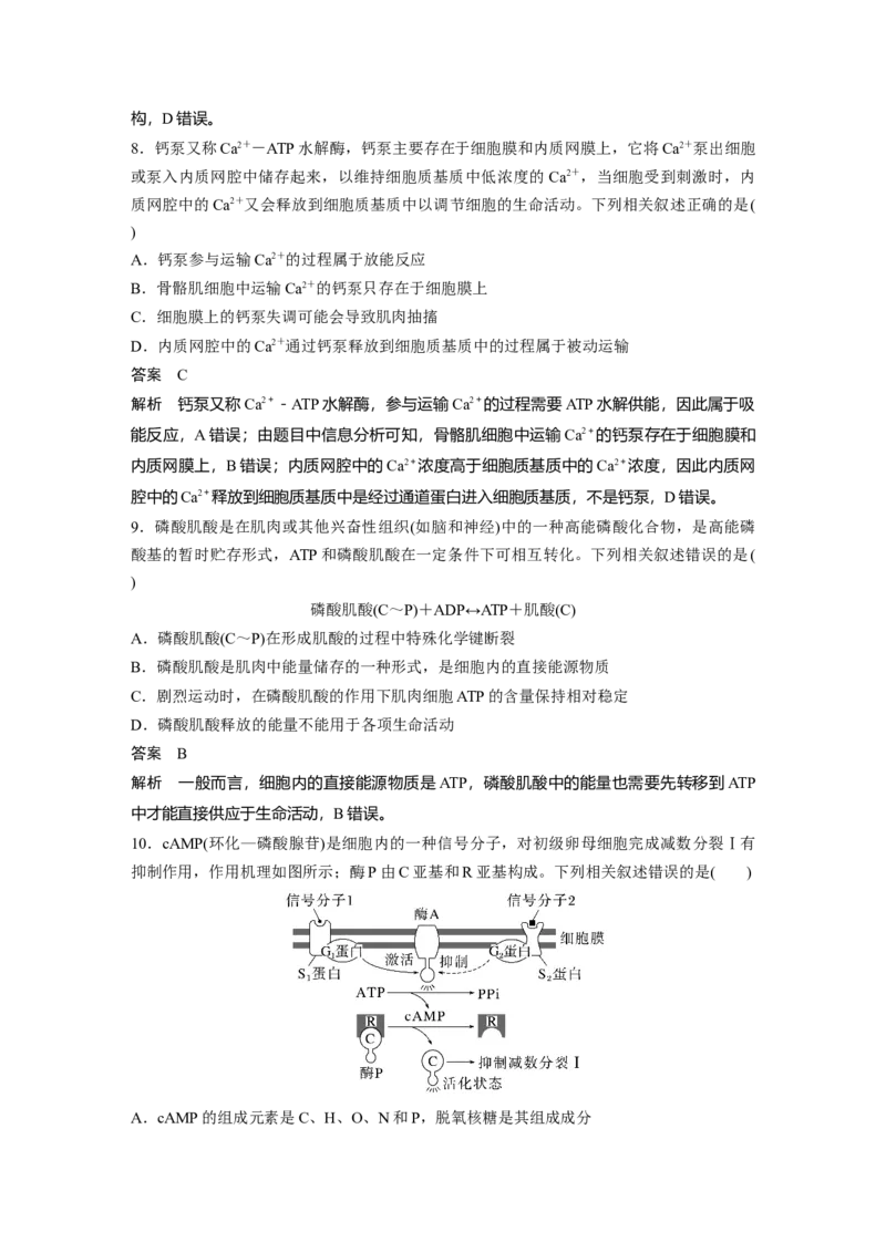 2023年高考生物一轮复习（新人教新高考）第3单元第2课时　细胞的能量&ldquo;货币&rdquo;ATP_新高考复习资料_2023年新高考复习资料_一轮复习_2023年新高考大一轮复习讲义