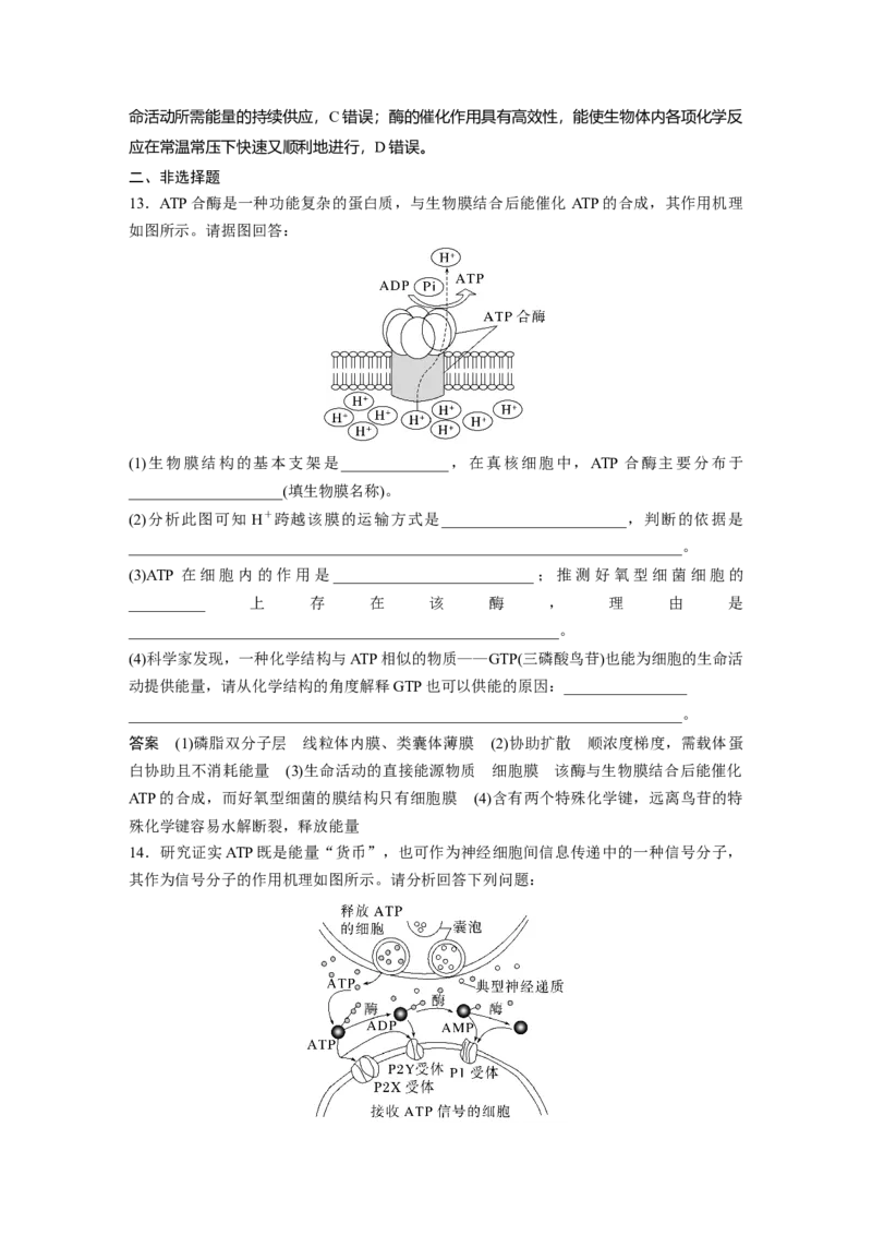 2023年高考生物一轮复习（新人教新高考）第3单元第2课时　细胞的能量&ldquo;货币&rdquo;ATP_新高考复习资料_2023年新高考复习资料_一轮复习_2023年新高考大一轮复习讲义