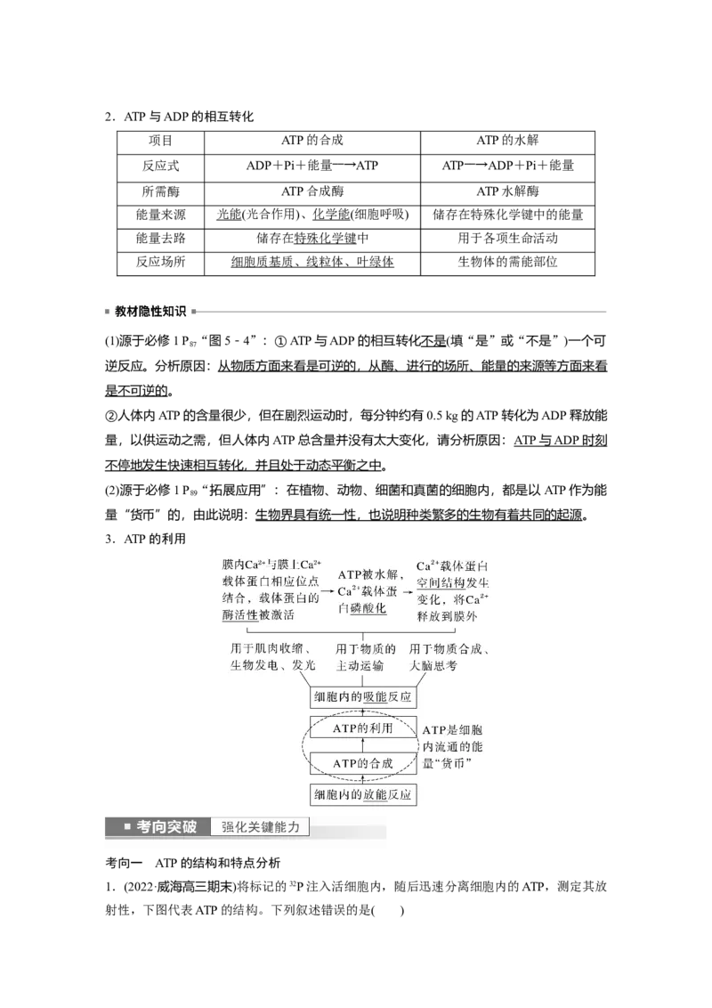 2023年高考生物一轮复习（新人教新高考）第3单元第2课时　细胞的能量&ldquo;货币&rdquo;ATP_新高考复习资料_2023年新高考复习资料_一轮复习_2023年新高考大一轮复习讲义