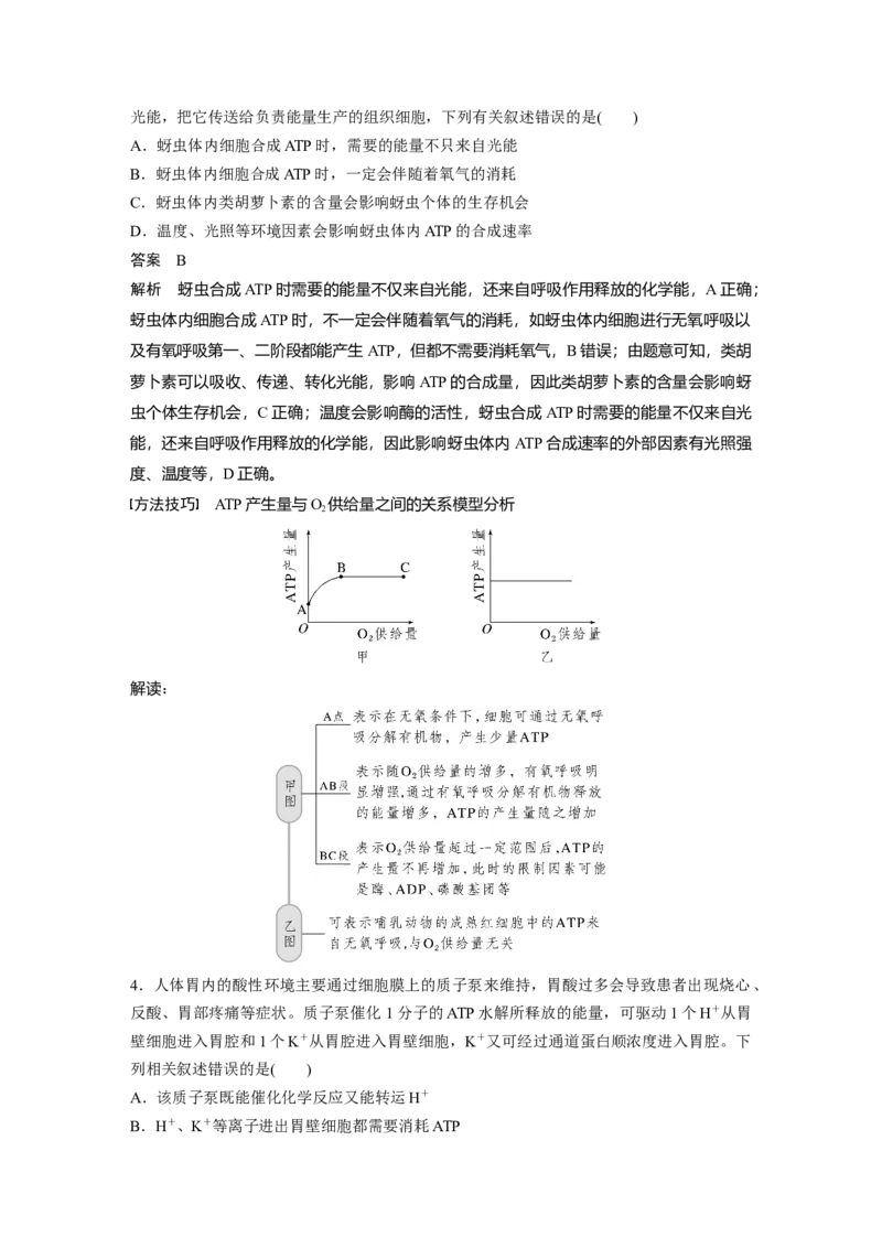 2023年高考生物一轮复习（新人教新高考）第3单元第2课时　细胞的能量&ldquo;货币&rdquo;ATP_新高考复习资料_2023年新高考复习资料_一轮复习_2023年新高考大一轮复习讲义