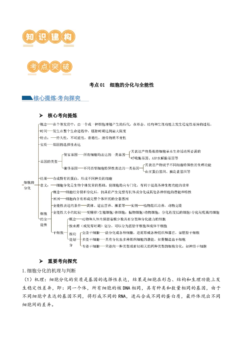 第06讲细胞的分化、衰老和死亡（讲义）原卷版_2024年新高考资料_2.2024二轮复习_2024年高考生物二轮复习讲练测（新教材新高考）