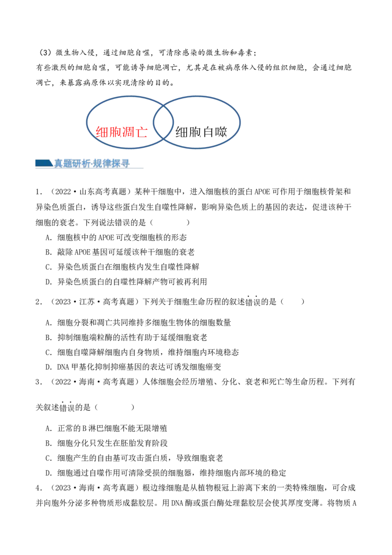 第06讲细胞的分化、衰老和死亡（讲义）原卷版_2024年新高考资料_2.2024二轮复习_2024年高考生物二轮复习讲练测（新教材新高考）