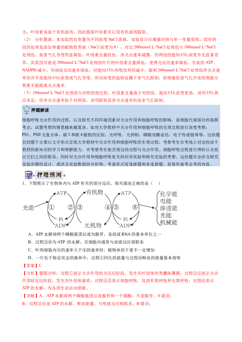 生物-2024年高考终极押题猜想（解析版）_2024年新高考资料_5.2024三轮冲刺_生物-2024年高考终极押题猜想