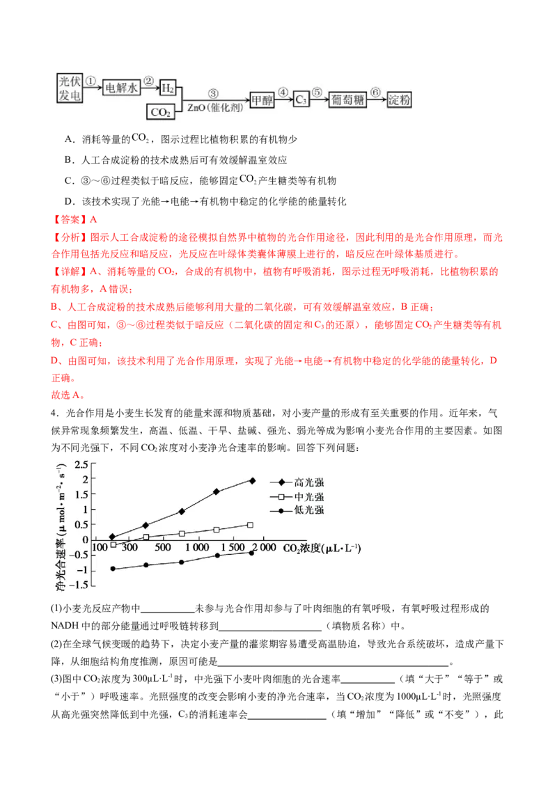 生物-2024年高考终极押题猜想（解析版）_2024年新高考资料_5.2024三轮冲刺_生物-2024年高考终极押题猜想