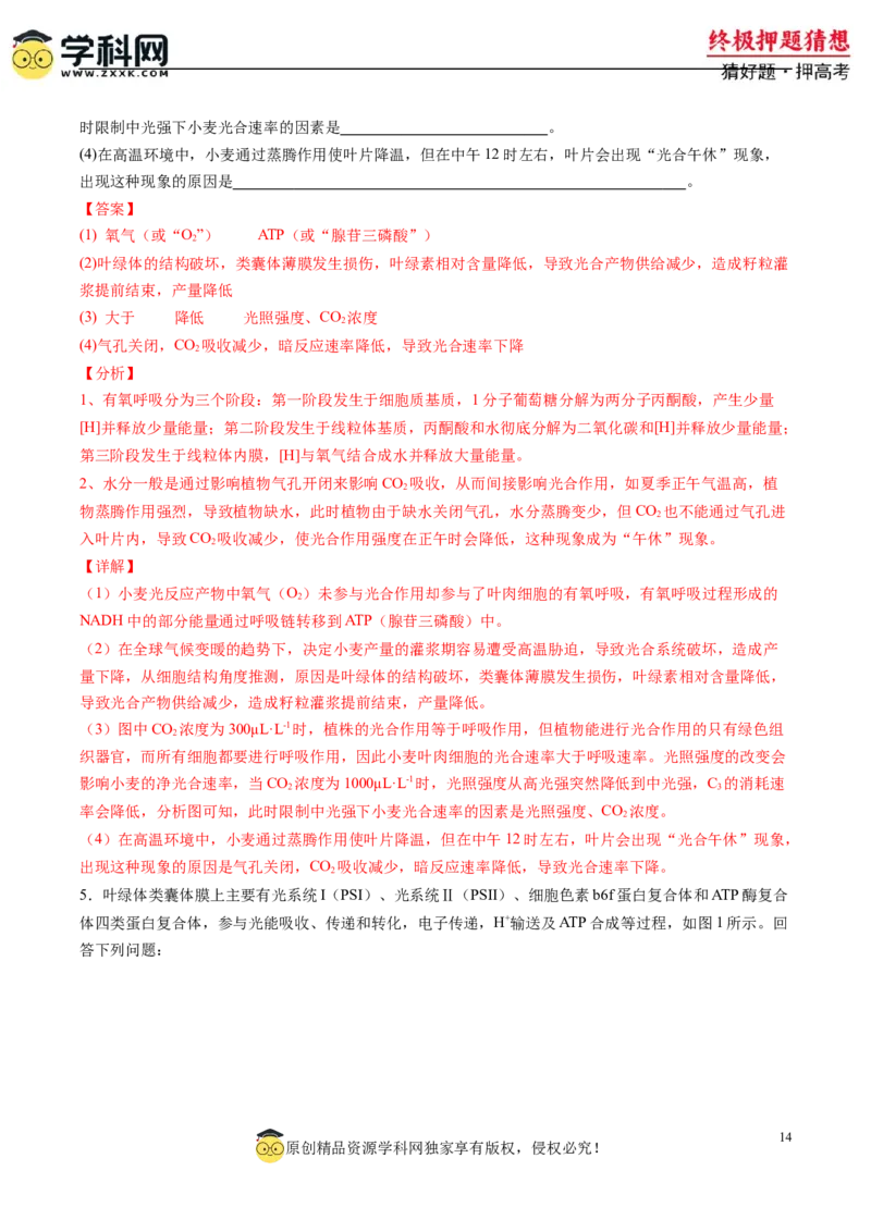 生物-2024年高考终极押题猜想（解析版）_2024年新高考资料_5.2024三轮冲刺_生物-2024年高考终极押题猜想