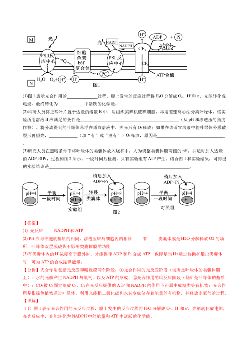 生物-2024年高考终极押题猜想（解析版）_2024年新高考资料_5.2024三轮冲刺_生物-2024年高考终极押题猜想