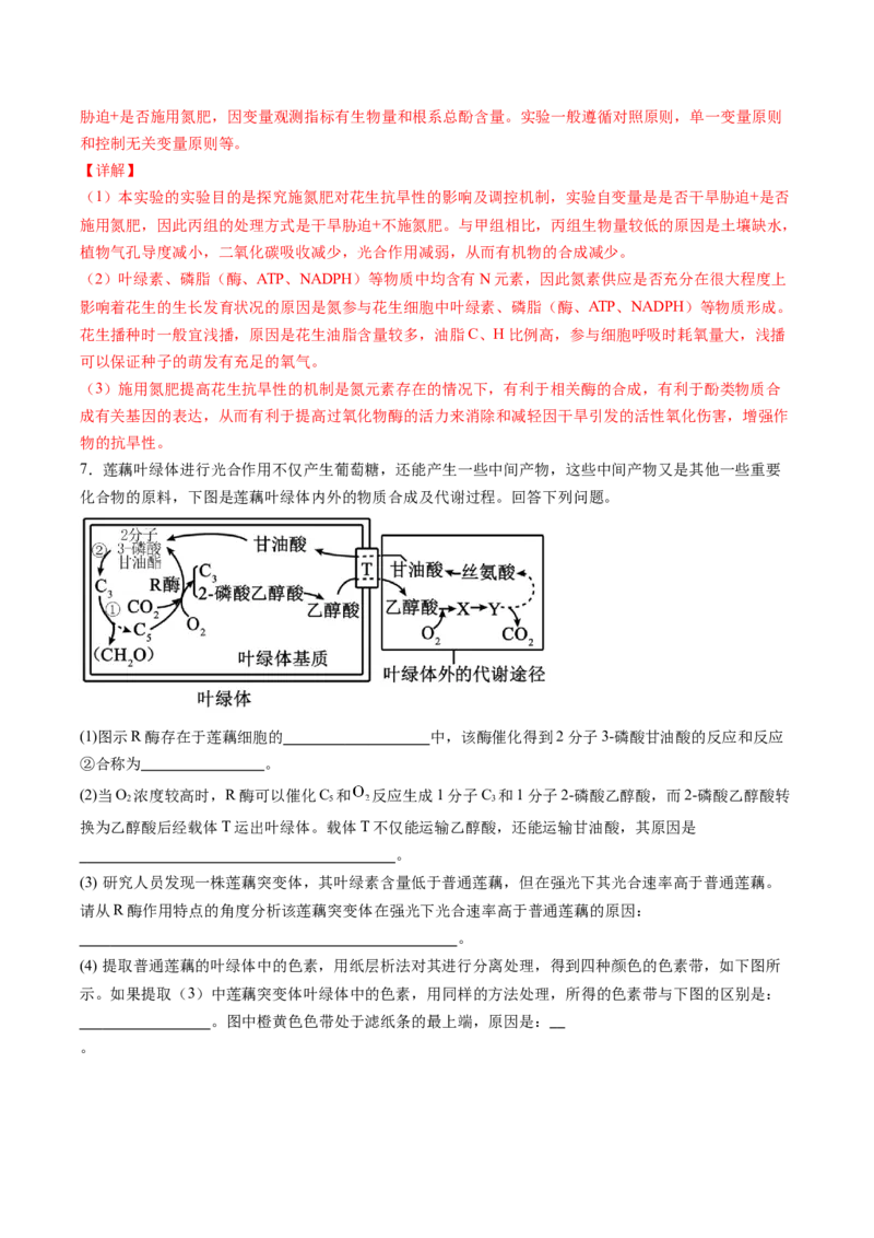 生物-2024年高考终极押题猜想（解析版）_2024年新高考资料_5.2024三轮冲刺_生物-2024年高考终极押题猜想
