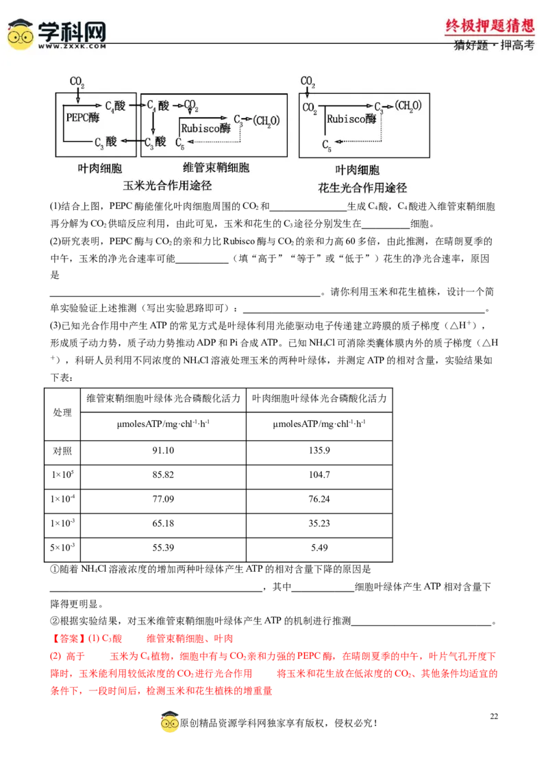 生物-2024年高考终极押题猜想（解析版）_2024年新高考资料_5.2024三轮冲刺_生物-2024年高考终极押题猜想