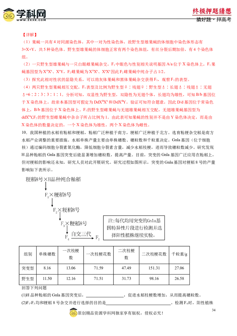 生物-2024年高考终极押题猜想（解析版）_2024年新高考资料_5.2024三轮冲刺_生物-2024年高考终极押题猜想
