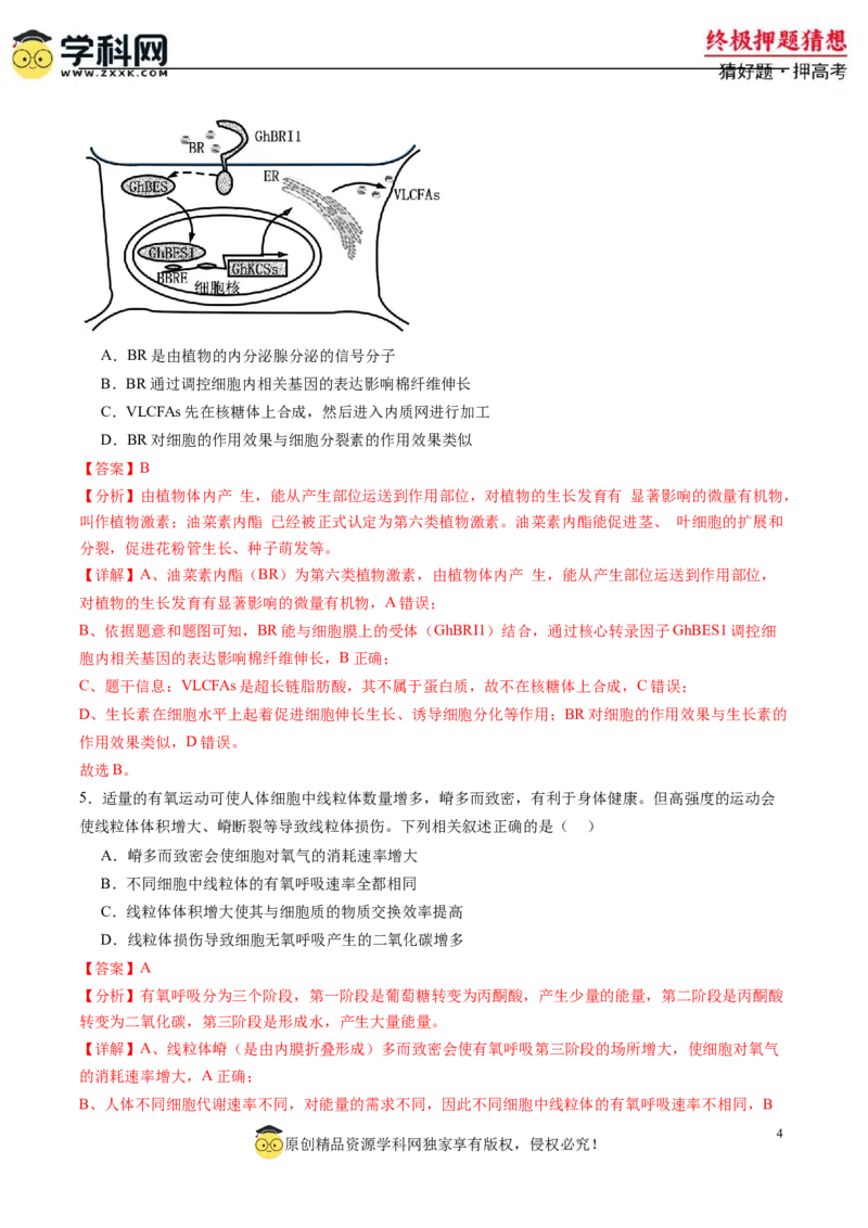 生物-2024年高考终极押题猜想（解析版）_2024年新高考资料_5.2024三轮冲刺_生物-2024年高考终极押题猜想
