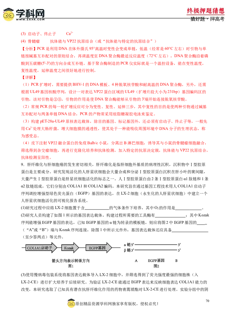 生物-2024年高考终极押题猜想（解析版）_2024年新高考资料_5.2024三轮冲刺_生物-2024年高考终极押题猜想