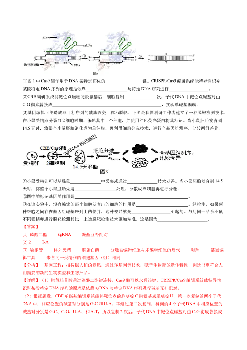 生物-2024年高考终极押题猜想（解析版）_2024年新高考资料_5.2024三轮冲刺_生物-2024年高考终极押题猜想