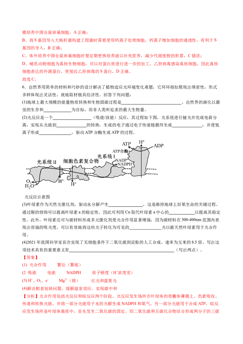 生物-2024年高考终极押题猜想（解析版）_2024年新高考资料_5.2024三轮冲刺_生物-2024年高考终极押题猜想