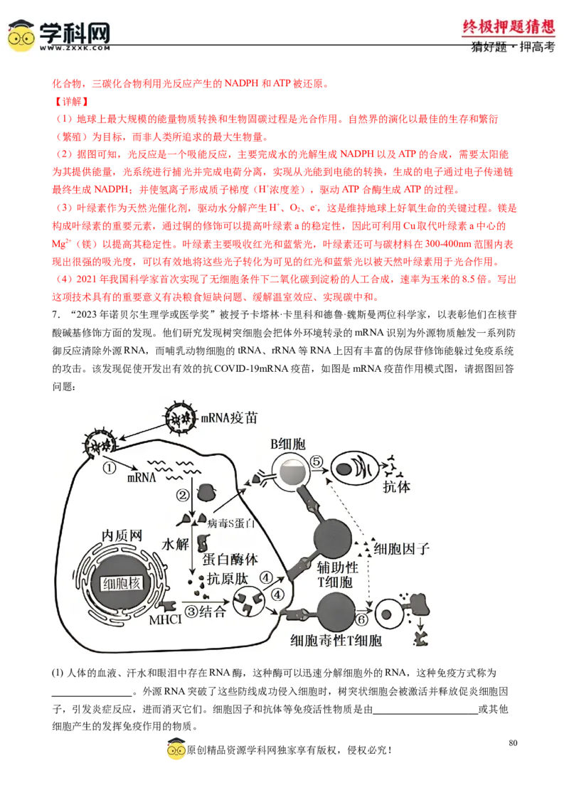 生物-2024年高考终极押题猜想（解析版）_2024年新高考资料_5.2024三轮冲刺_生物-2024年高考终极押题猜想