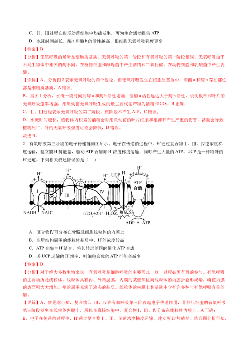 生物-2024年高考终极押题猜想（解析版）_2024年新高考资料_5.2024三轮冲刺_生物-2024年高考终极押题猜想